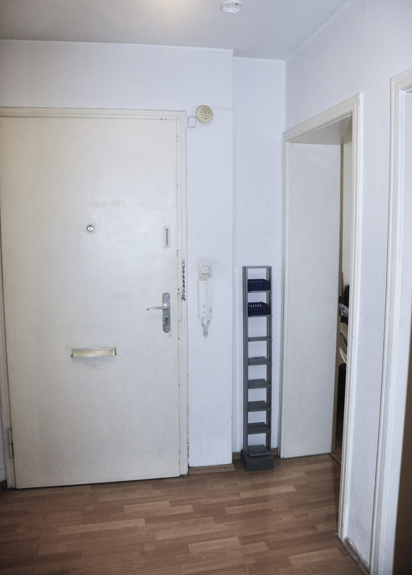 Diele mit Wohnungseingangstür und Gegensprechanlage